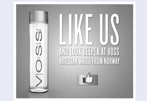 voss